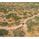 27载，他一桶一桶将荒漠浇灌成绿洲