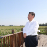 习近平赴吉林考察调研
