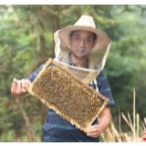 【云端上的小康路①】瓦子坪村贫困户的“甜蜜”脱贫路