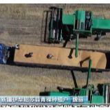 新疆：特色粮食作物丰收 小品种增收大产业