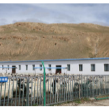“新时代·边疆行—西藏篇”：岗巴羊让羊倌变羊管