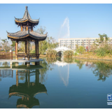 菱歌一曲踏浪来——在红船起航地感受美好中国