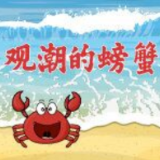 “金点子”快车奔驰三年，搭建了怎样一座金桥