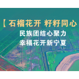 【石榴花开 籽籽同心】民族团结心聚力 幸福花开新宁夏