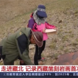 剪影式牦牛、绶带鸟、盘羊......藏北凿刻岩画中的精灵背后藏着这些秘密