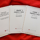 新华时评：香港民主发展道路必将越走越宽广