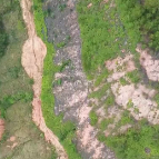 人与青山两不负——好生态带来富产业,一起看小曾的“远志”生活