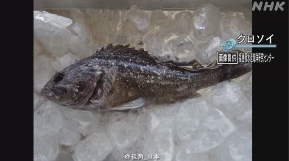 微信截图_20210223214534.png