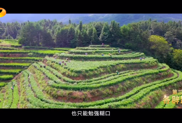 《这八年——精准扶贫在湖南》第三集：各辟蹊径