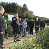 潮头观澜丨这项制度，总书记要求继续坚持