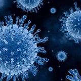 美媒称“三名武汉病毒所人员曾染病” 知情人士回应：并未出现过该情况，美媒一派胡言！