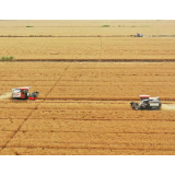 奋战100天抗灾夺秋粮，农业农村部多措并举保丰收