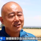 夏粮喜获“十八连丰” “中国饭碗”有保障