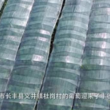 走进乡村看小康｜葡萄熟了 果农笑了