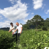 圆梦小康丨总书记“打卡”的茶园如何种出“致富树”？