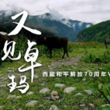 卓玛，你笑起来真好看！