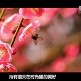 在雪域高原和你谈起“前世今生”