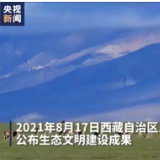 万类霜天竞自由！美丽羌塘的生命力
