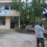 大象回家了！云南北移亚洲象群平安回归栖息地