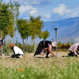 铸牢中华民族共同体意识|雪域高原的“富民故事”