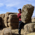 新华全媒+丨情暖震区：青海门源6.9级地震救援记