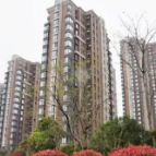 湖南四部门联合出台指导意见——“协同共治”提升住宅小区治理效能