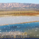 河南：大美湿地 润泽中原