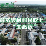 乡村振兴在行动 | 蓑衣樊村村民吃上了“生态饭”