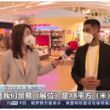 客从海上来 共赴东方之约丨虹桥国际开放枢纽 联通世界的“彩虹桥”