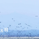 生物多样性｜与自然共生
