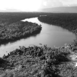 专访:巴西将全力支持“2020年后全球生物多样性框架”谈判取得成功——访巴西COP15首席谈判代表德阿泰德