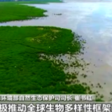 COP15第二阶段会议将取得哪些成果？专家解读→