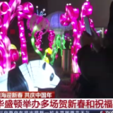 华盛顿民众 共享虎年新春 期待看冬奥比赛