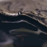 一起向未来丨虎年看冬奥·如何把北京冬奥做成一幅动态冰雪画卷