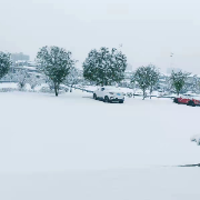 这个年关为何多雨雪