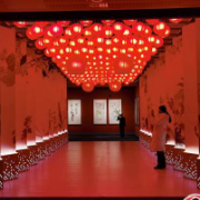 【新春走基层】视频丨虎年看虎展！来国博感受虎文化