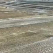辽宁铁岭农民春耕备耕忙 大豆种子销售旺