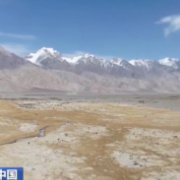 春和景明 万物勃发 一起感受春天中国的大美与活力