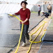 宁夏贺兰：移民村里春耕忙