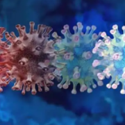 个人如何应对奥密克戎变异株？疾控专家权威解答