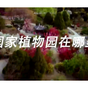 国家植物园来了！1分钟带你抢先了解