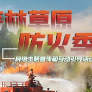 森林草原防火季 | 视频：森林火灾的预防