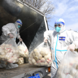 微光成炬——青春力量筑牢战“疫”防线