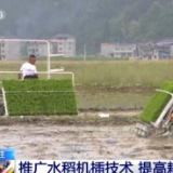 贵州天柱县推广水稻全程机械化技术 提高耕作效率