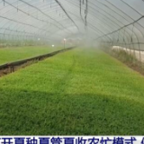 湖北各地打开夏种夏管夏收农忙模式 确保夏粮夏油丰收