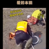 星火成炬 | 爱的本能