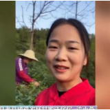 走进老区看新貌 | 山还是那座山 我们守住了绿水青山