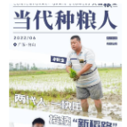 种粮父子兵，接续新“稻”路丨大国“粮”策 当代种粮人②