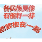 平语近人 | 像石榴籽一样紧紧抱在一起