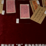 我与总书记“同框”｜一纸“侨批”话家国情思